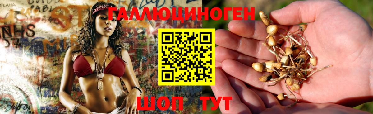 Псилоцибиновые грибы прущие грибы  Вход с VPN  Люберцы 