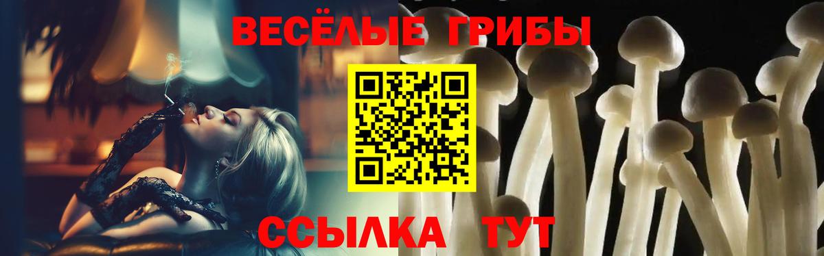 Псилоцибиновые грибы Psilocybe Люберцы